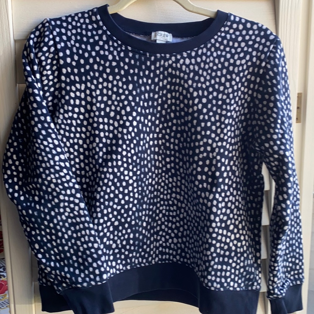 J Crew Crew Neck sweatshirt.